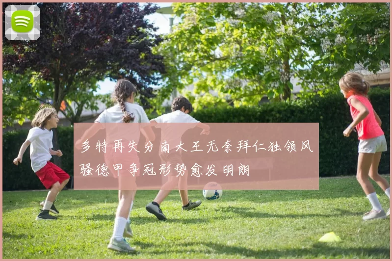 多特再失分南大王无奈拜仁独领风骚德甲争冠形势愈发明朗
